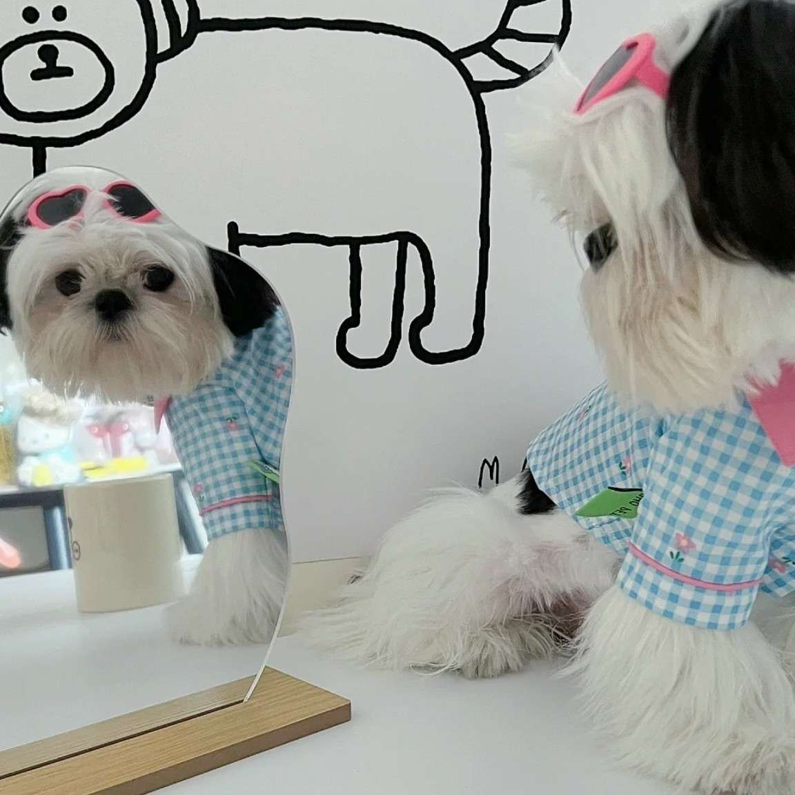 A迋尒佳。的专辑