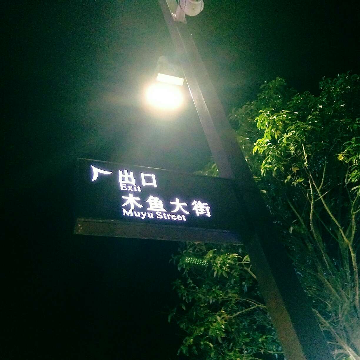 五五六六七七八八