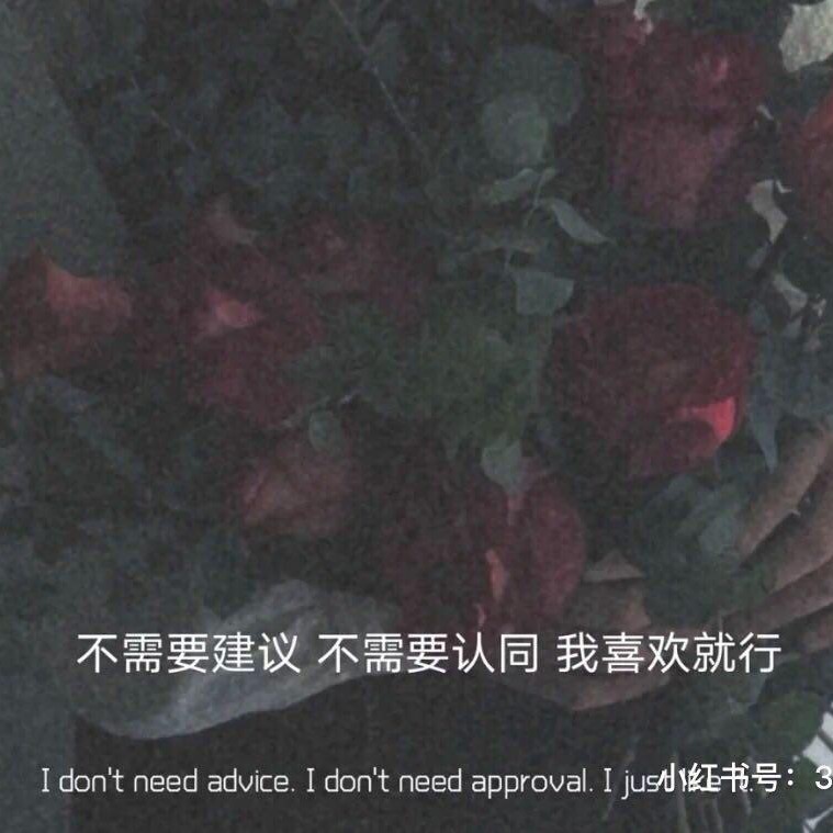 我喜欢的