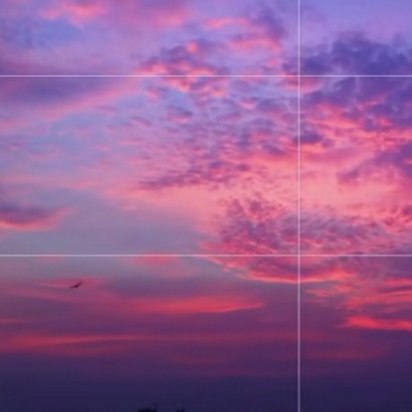 远隔山海共存的专辑