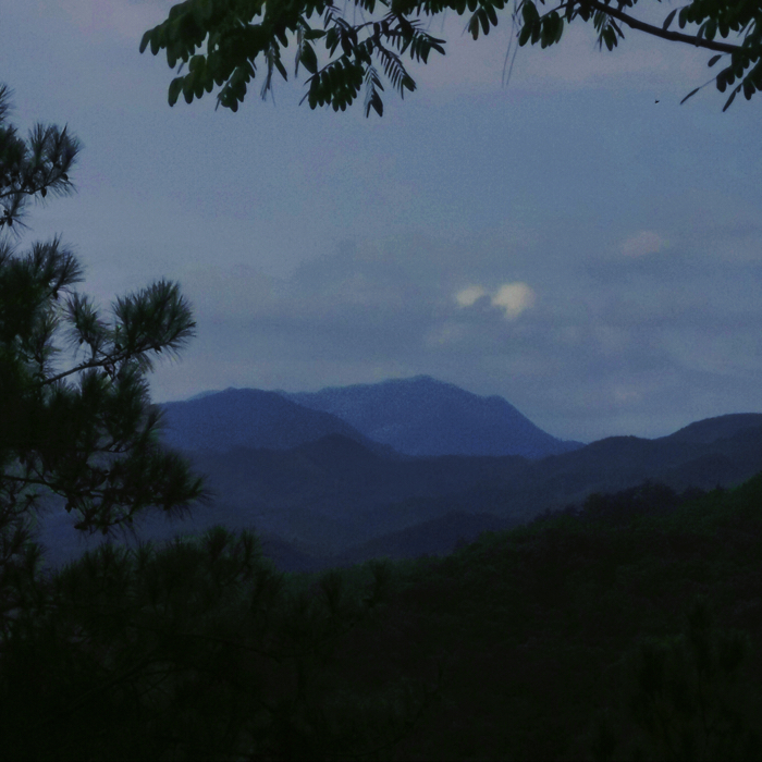 所谓浪漫主义者