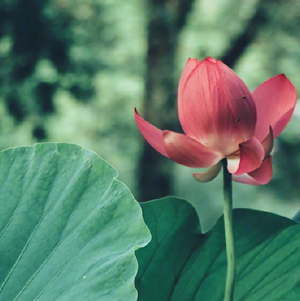 『静心语录♢收辑』