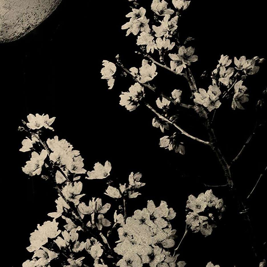 『原创记录榜』