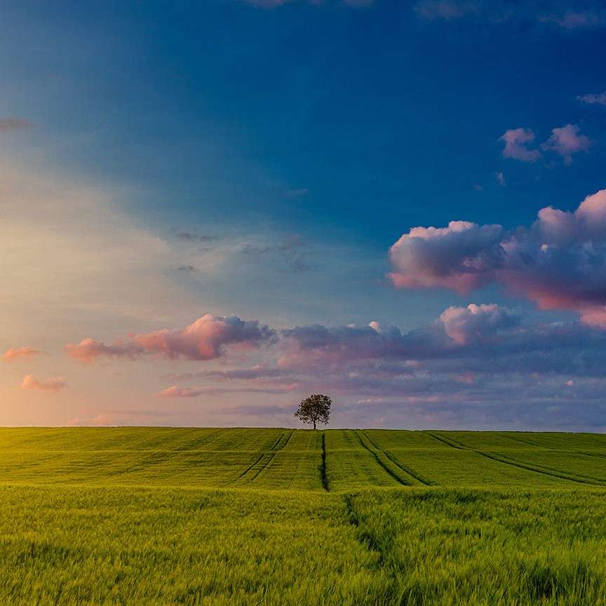 冥神的⚖的专辑