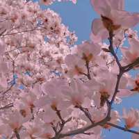 你认为最荒唐的事是什么？