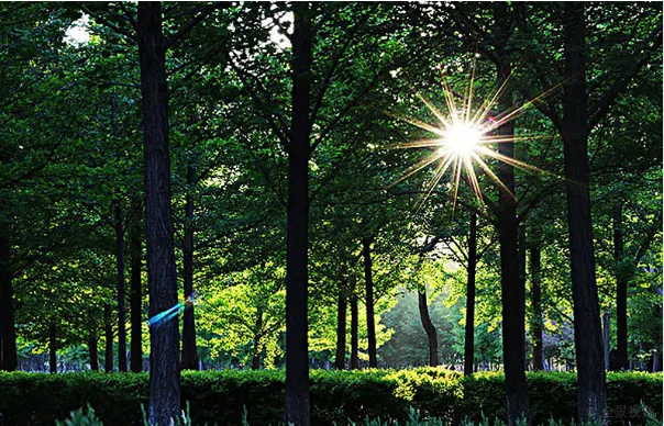 惊艳的文章开头