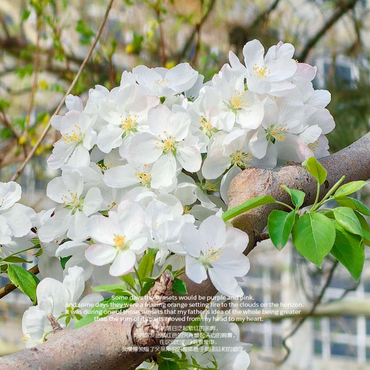 请为自己保留一点温柔