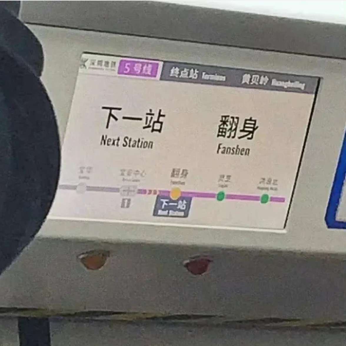 晚晚晚安ᙆ的专辑