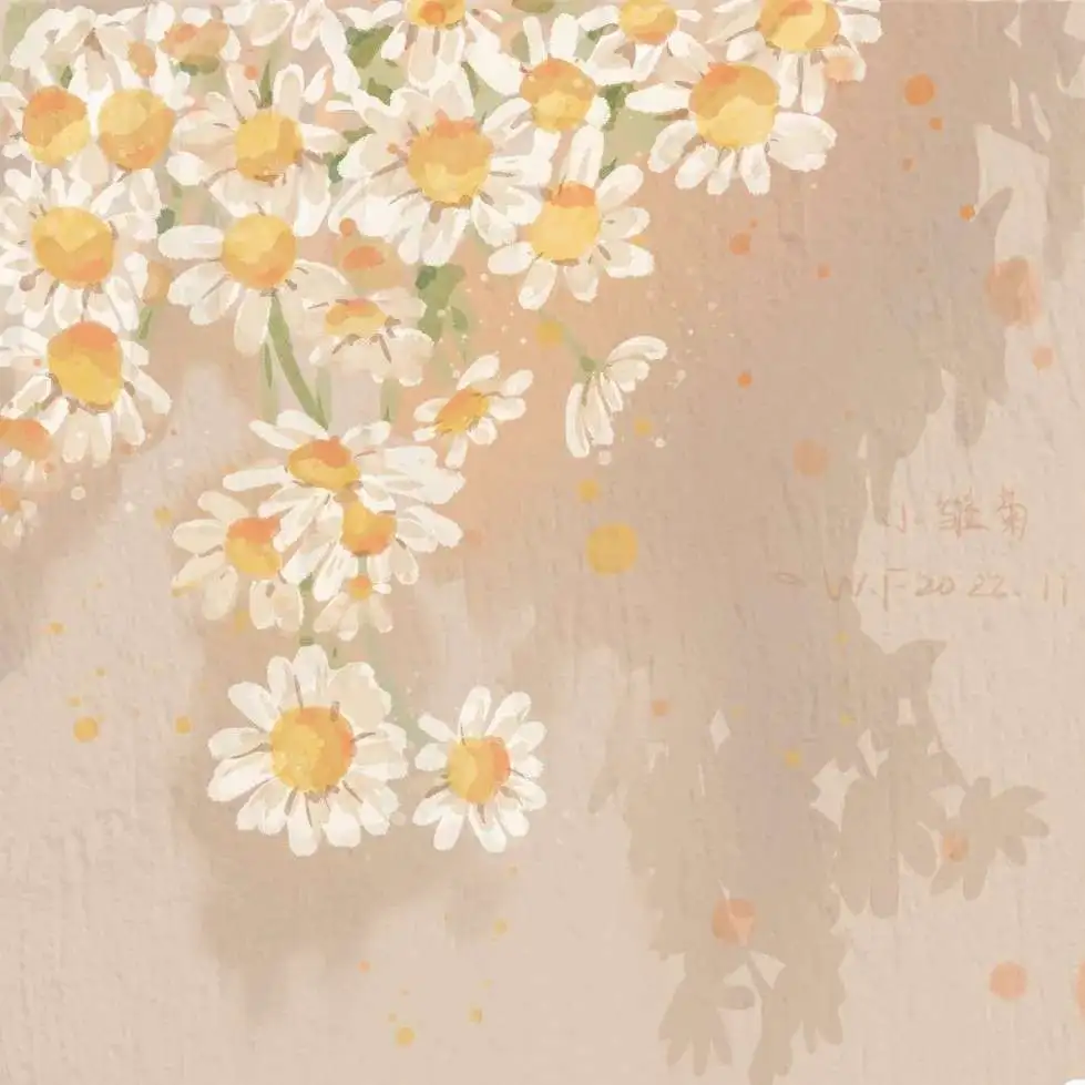 星星来敲门