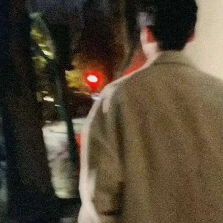 归隐若山去