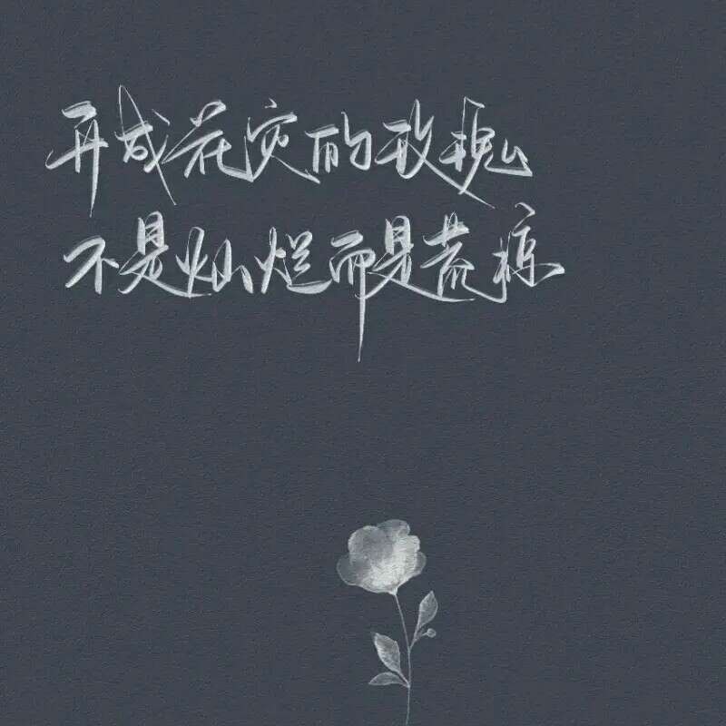 夫人马甲又掉了