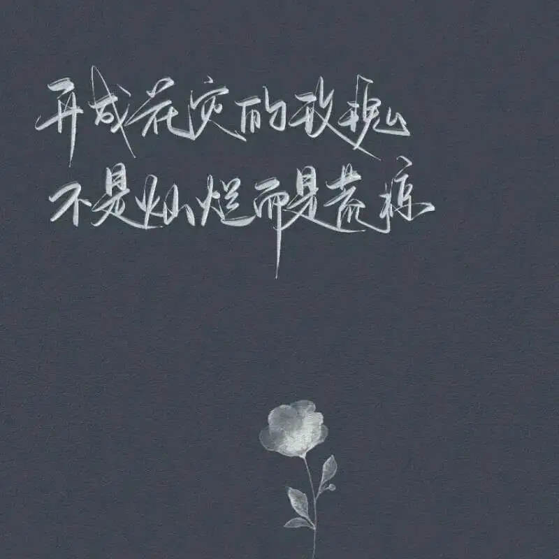 夫人马甲又掉了