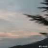 樱