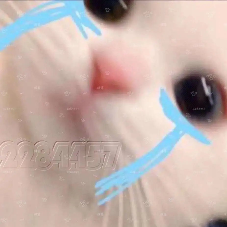 心