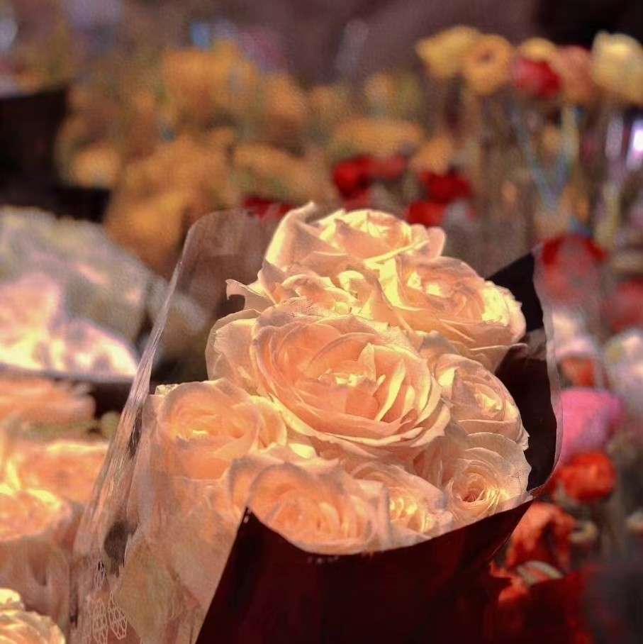 沅有芷兮澧有兰