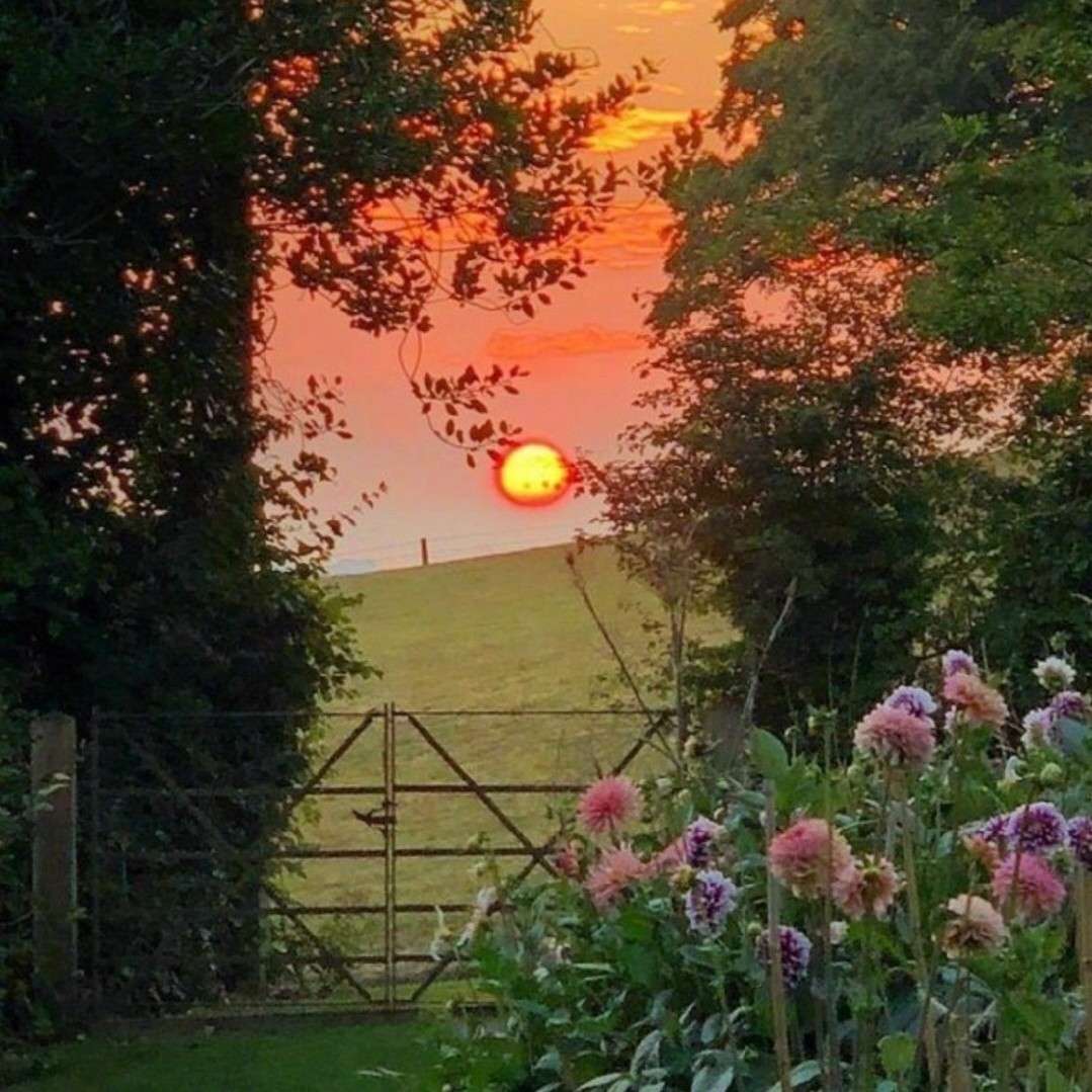 东篱把酒黄昏后