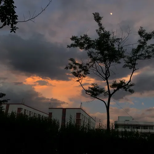 《我在人间凑数的日子》