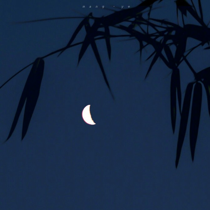 《烦杂孤寂的日常》