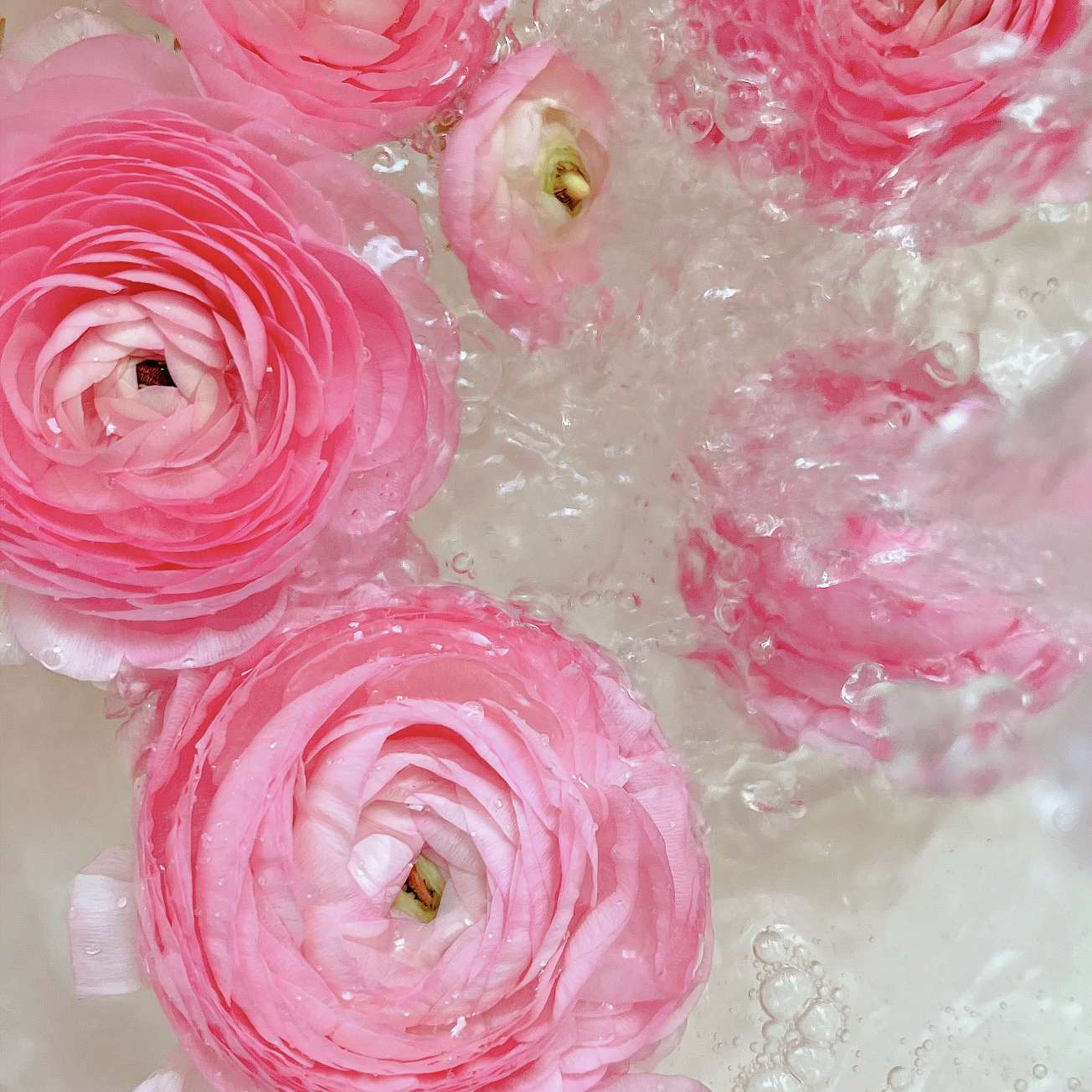 看见就会笑的温柔句子