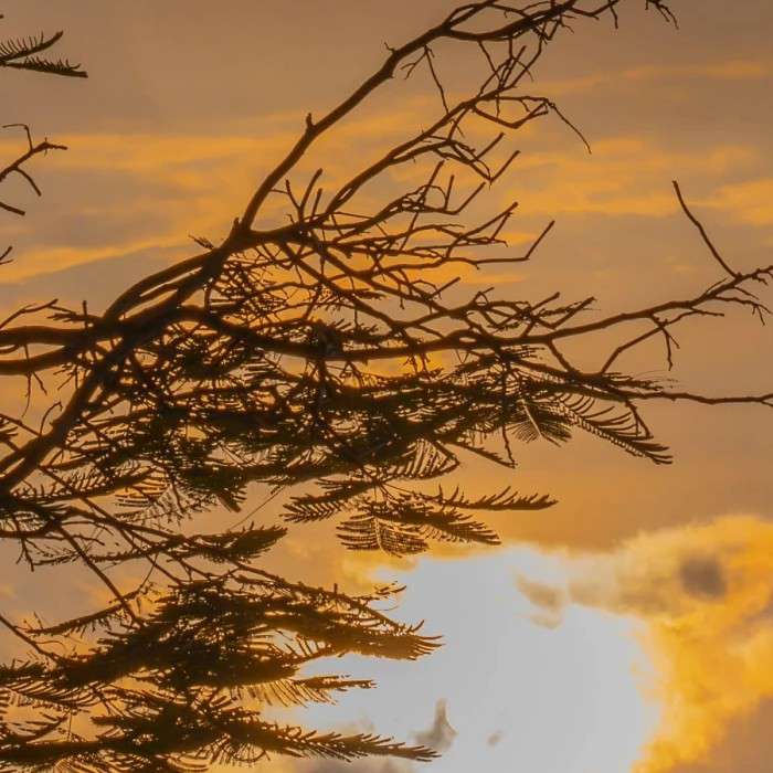 我真的不是他粉丝