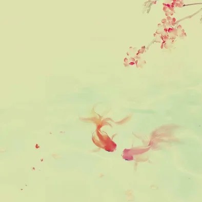 心上人来看我的坟头草