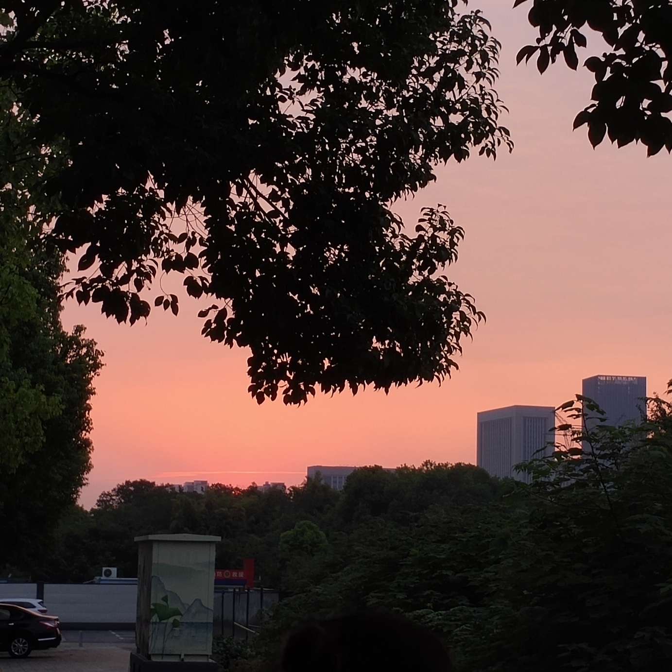 《我喜欢什么本来的样子》