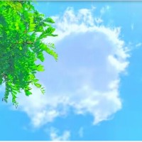 那些一直激励你的座右铭是什么？