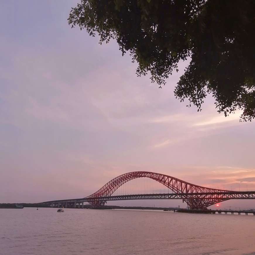 不知道叫什么好