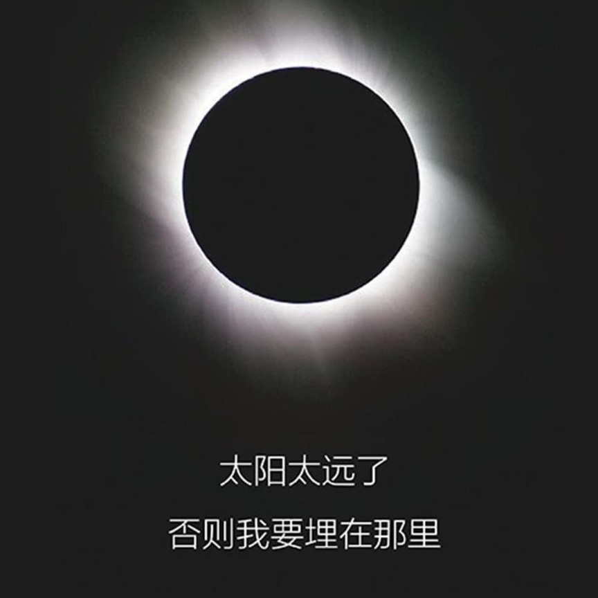 太阳太远了，否则我要埋在那里