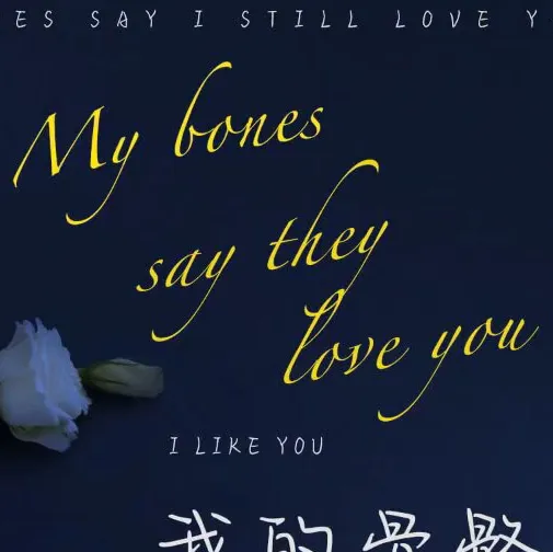 橘柚的专辑