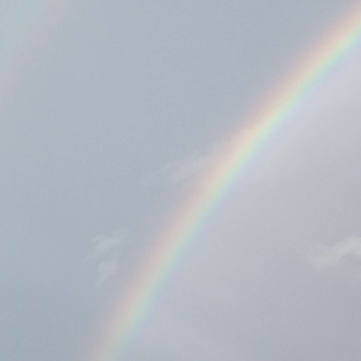 落叶随风🍂🍁的专辑