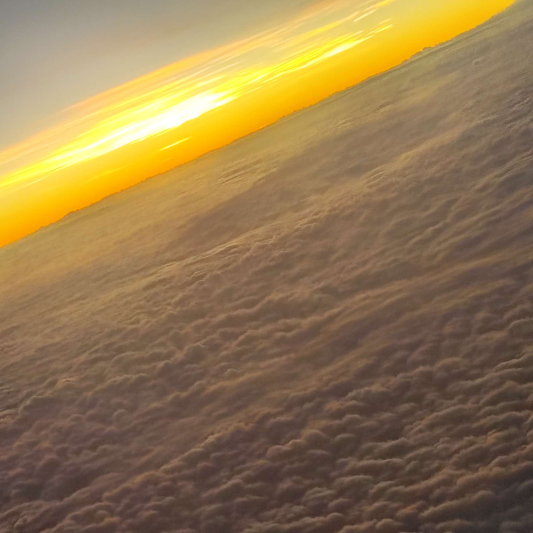 爱成了春夏秋冬