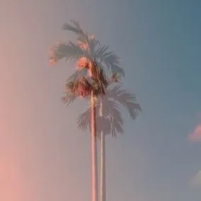 骄矜盛夏