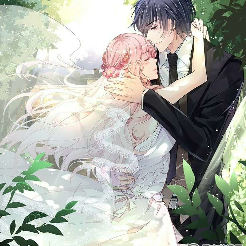 国民老公带回家：偷吻55次