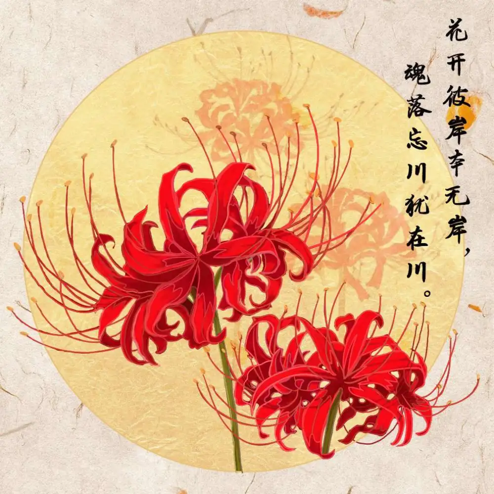 金牛