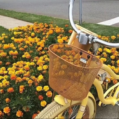 小顾baby名人语录