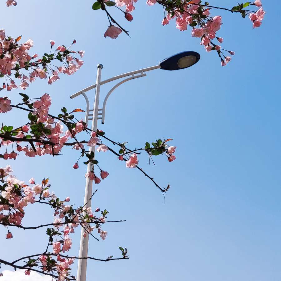 他们的岁月刮痕