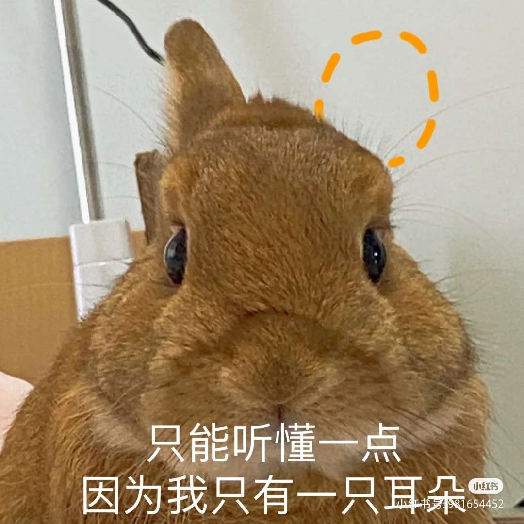 佛偈