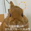 佛偈