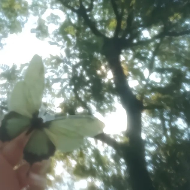 如果遇见一首诗（词）