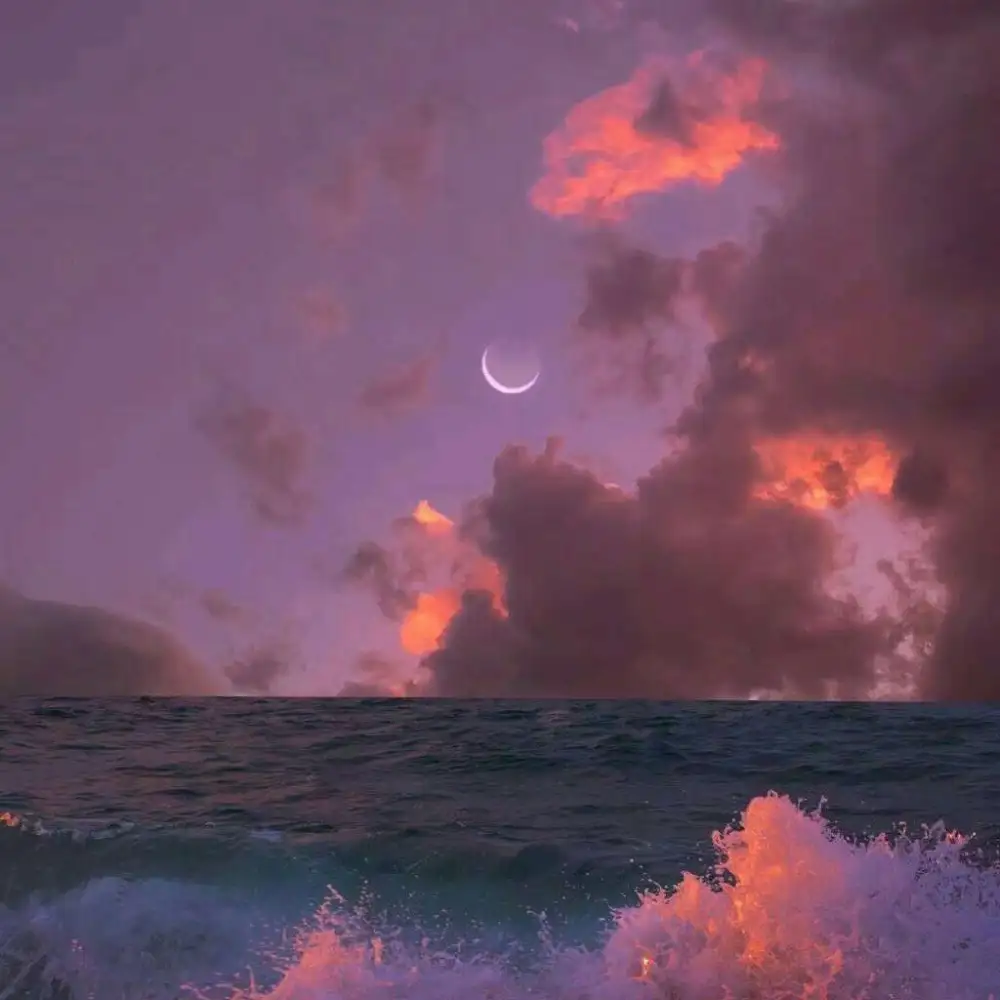 moonlight