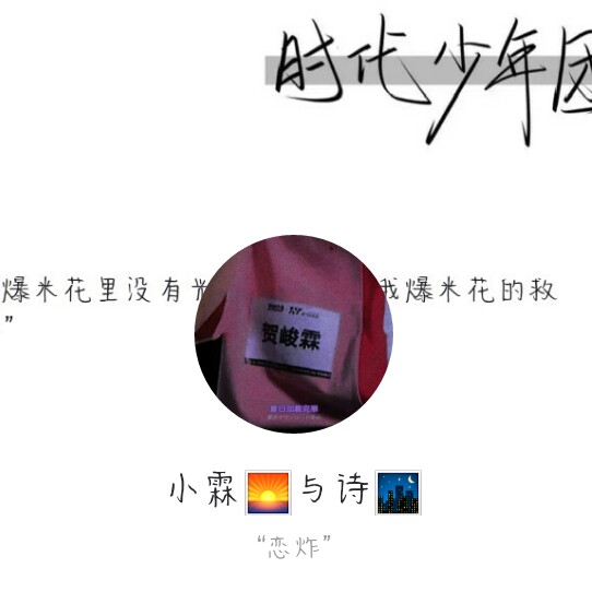 苏盛安追星日常