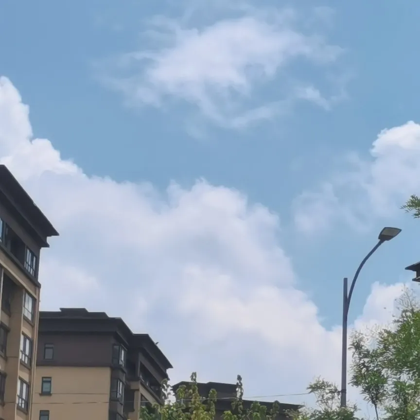 风景