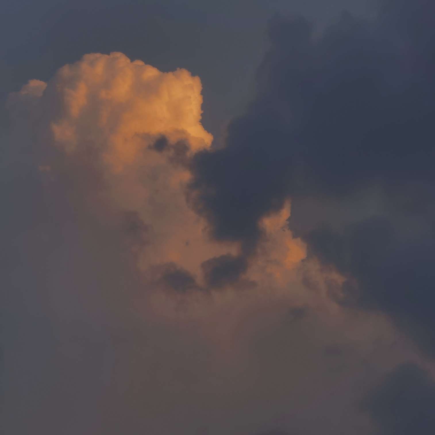 快递箱子的专辑_