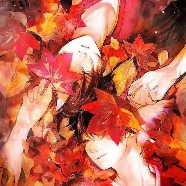 耽美  我看过的