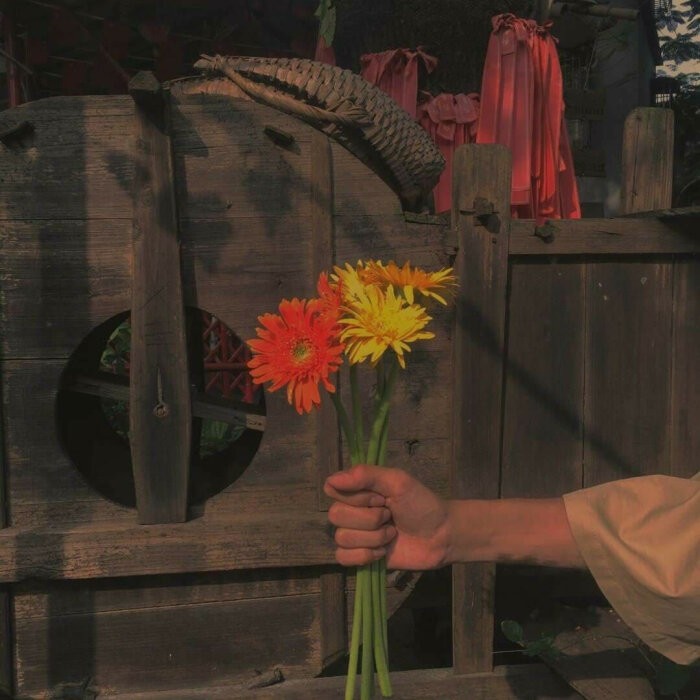 《发朋友圈的精美句子》