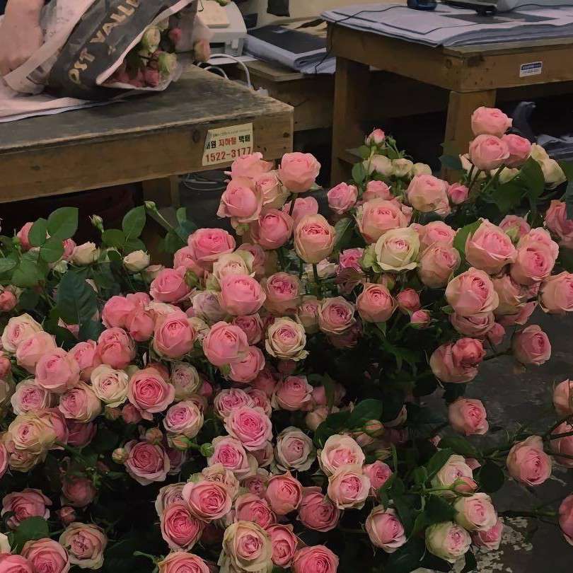 思念变成海的专辑