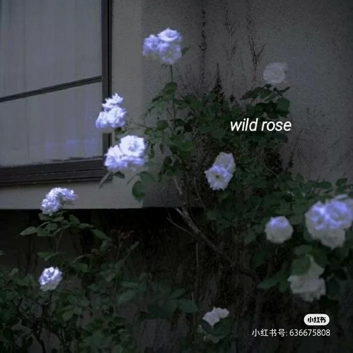 《遗憾 关于你》