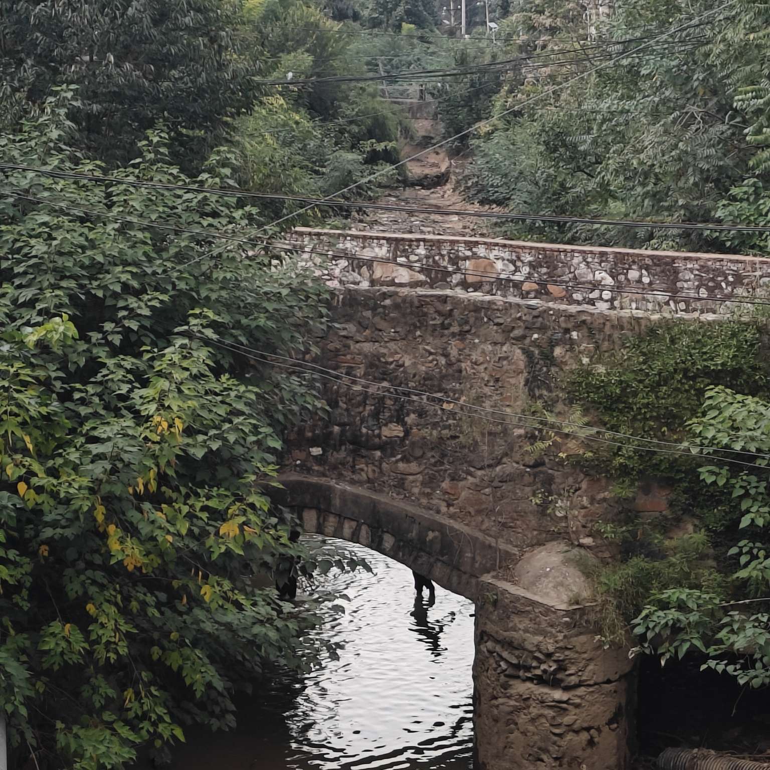 创造一个星星照亮一个你