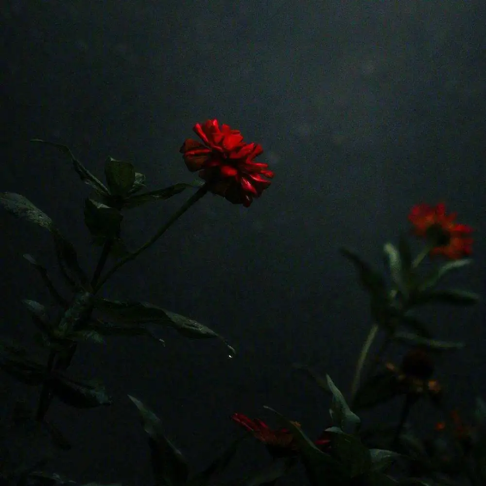 你是我的光
